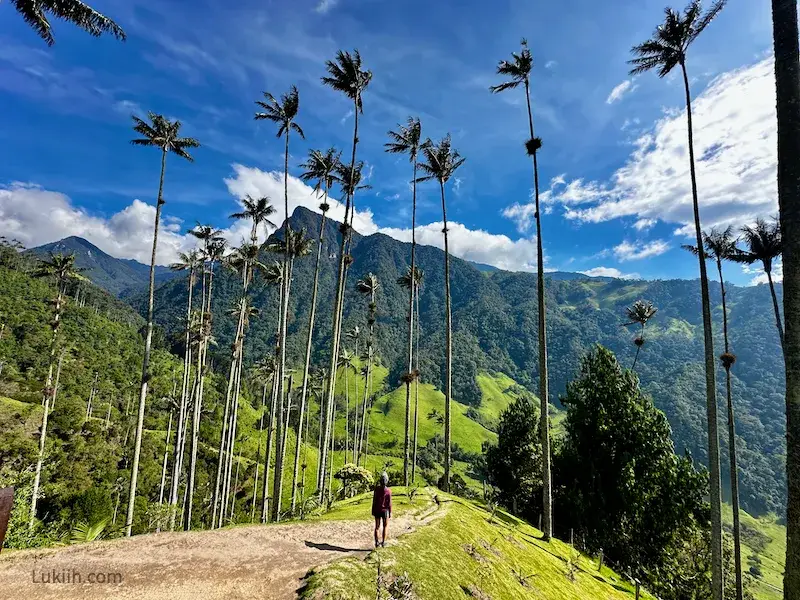 Colombia